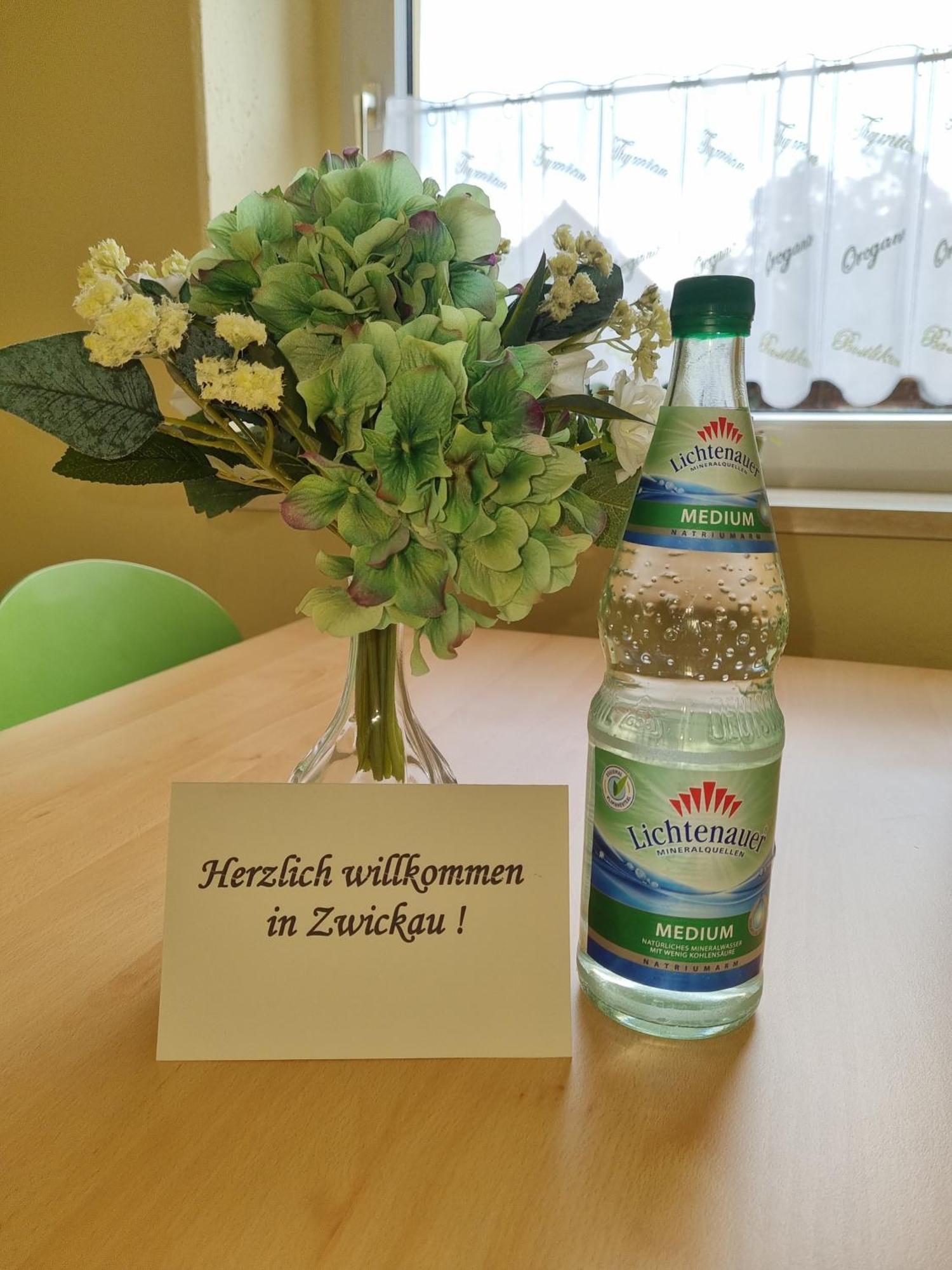 Ferienwohnung Im Zentrum Zwickaus 외부 사진